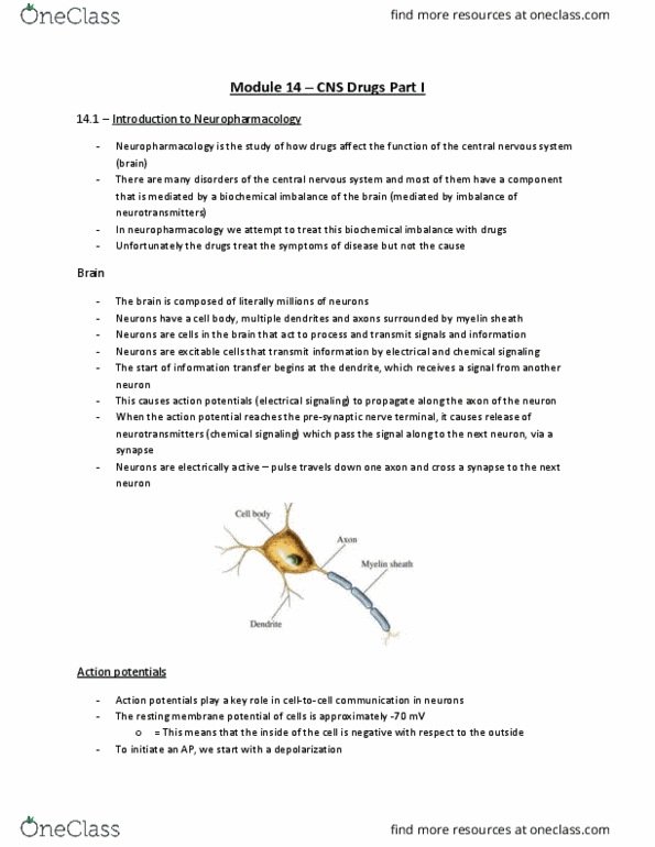 Pharmacology 2060A/B Lecture Notes - Lecture 14: Resting Potential, Sodium Channel, Substantia Nigra thumbnail