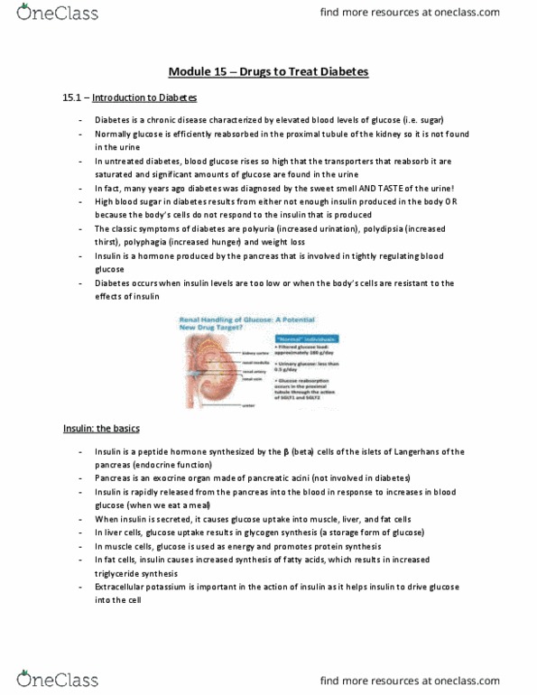 Pharmacology 2060A/B Lecture Notes - Lecture 15: Glucose Tolerance Test, Diabetes Mellitus Type 1, Gestational Diabetes thumbnail