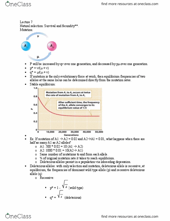BIO 370 Lecture Notes - Lecture 7: Allele Frequency, Mutation Rate, Wild Type thumbnail