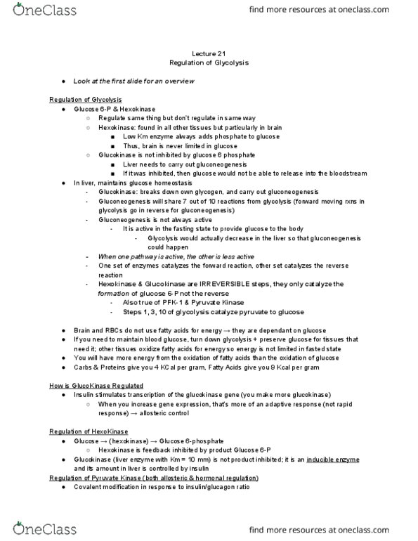 MCB 2000 Lecture Notes - Lecture 21: Glucokinase, Hexokinase, Liver Function Tests thumbnail
