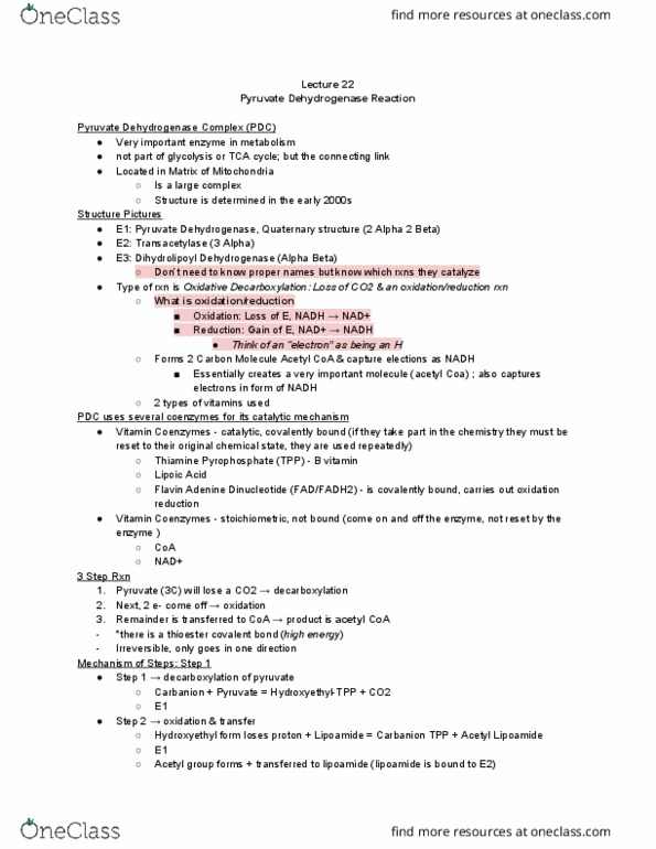 MCB 2000 Lecture Notes - Lecture 22: Oxidative Decarboxylation, Acetyl-Coa, Lipoamide thumbnail