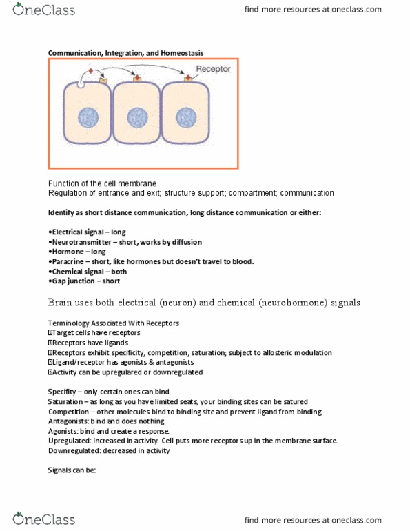 BIO 365S Lecture Notes - Lecture 3: Lipophobicity, Thyroid, Signal Transduction thumbnail