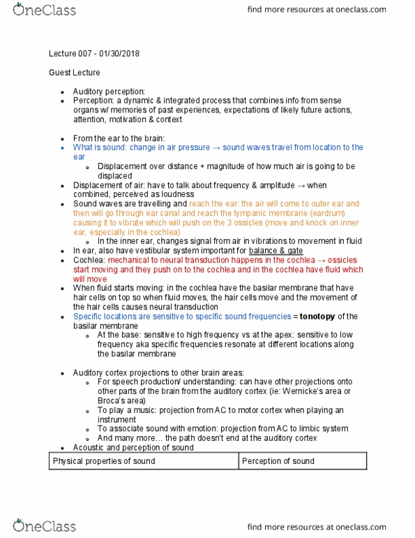 PSYC 213 Lecture Notes - Lecture 7: Basilar Membrane, Auditory Cortex, Cochlea thumbnail