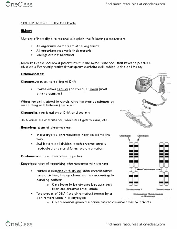 BIOL 112 Lecture Notes - Lecture 7: Karyotype, Dna Replication, Centromere thumbnail
