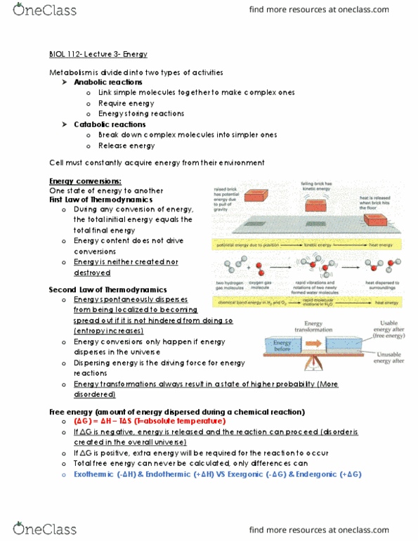 BIOL 112 Lecture Notes - Lecture 6: Exergonic Reaction, Endergonic Reaction, Thermodynamics thumbnail