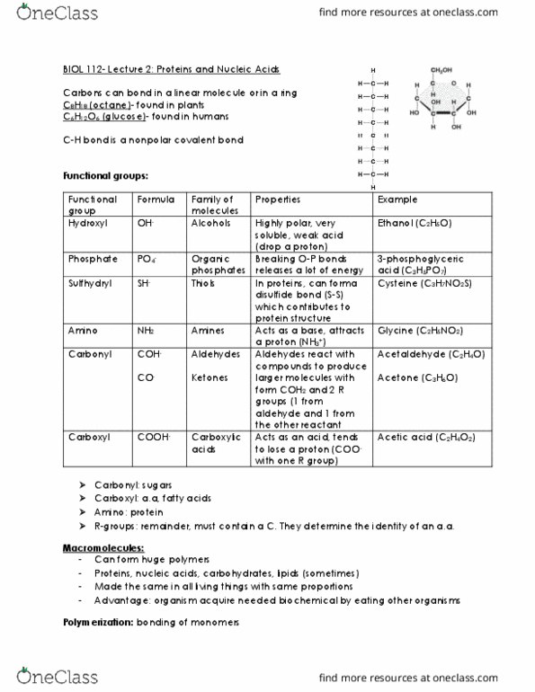 BIOL 112 Lecture Notes - Lecture 16: Disulfide, Carboxylic Acid, Aldehyde thumbnail