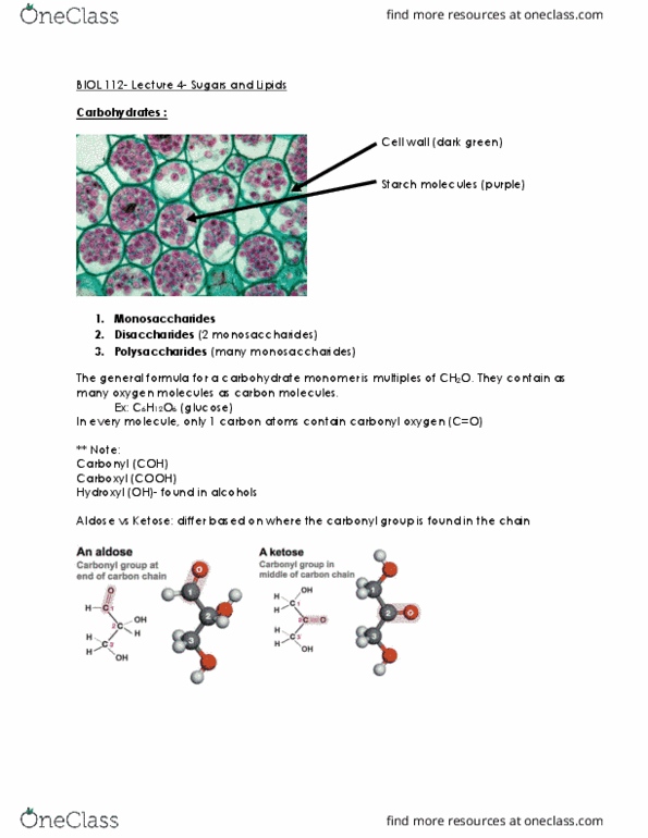 BIOL 112 Lecture 3: BIOL 112 Sugars and Lipids thumbnail