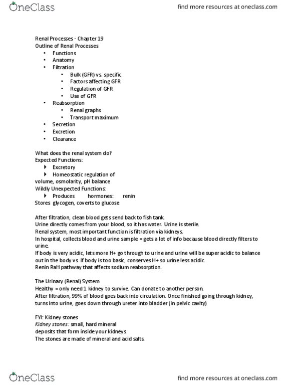 BIO 365S Lecture Notes - Lecture 26: Renal Pelvis, Kidney Stone Disease, Urinary System thumbnail