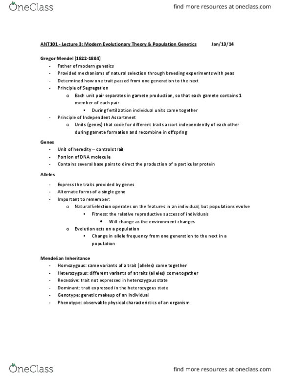 ANT101H5 Lecture Notes - Lecture 3: Gregor Mendel, Population Genetics, Mendelian Inheritance thumbnail