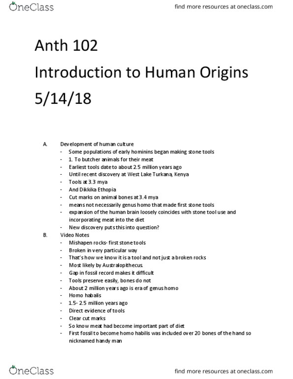ANTH 102 Lecture Notes - Lecture 56: Homo Habilis, Lake Turkana, Stone Tool thumbnail