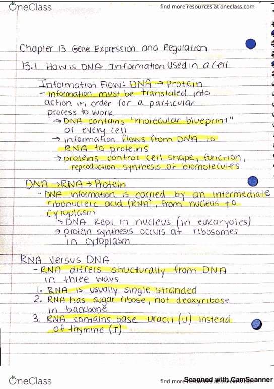 BIO 101 Lecture 10: Chapter 13 Notes thumbnail