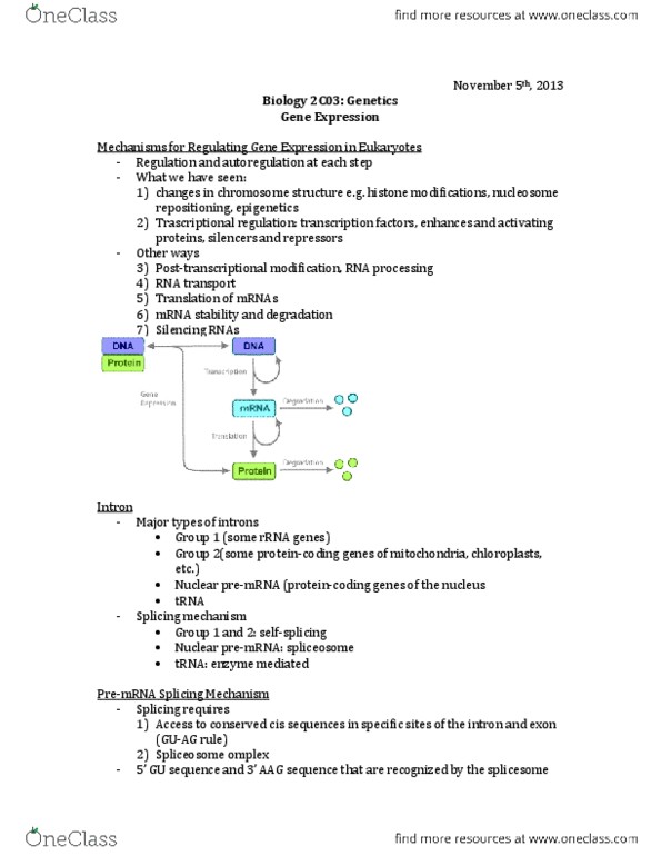 BIOLOGY 2C03 Lecture Notes - Stop Codon, Open Reading Frame, Start Codon thumbnail