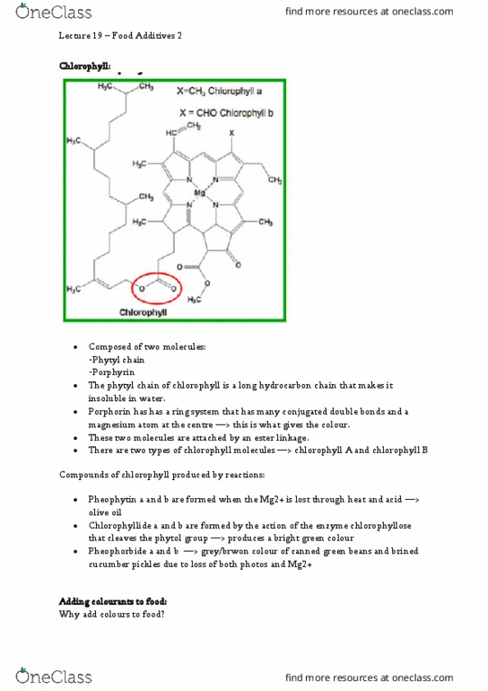 CHEM215 Lecture Notes - Lecture 19: Food Additive, Phytol, Olive Oil thumbnail