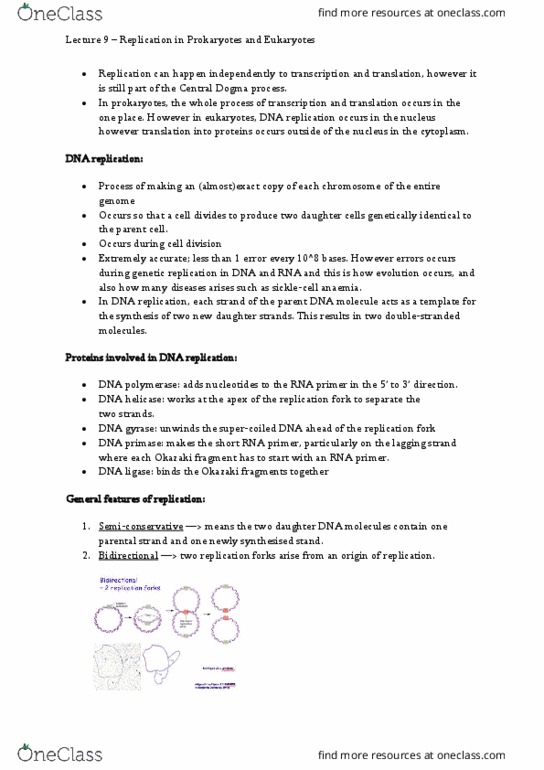 BIOL213 Lecture Notes - Lecture 9: Okazaki Fragments, Dna Gyrase, Helicase thumbnail