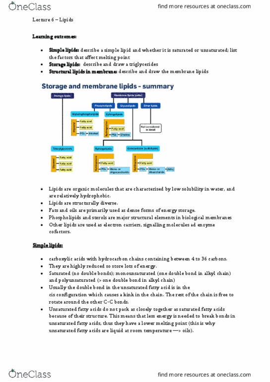 BIOL213 Lecture Notes - Lecture 6: Trans Fat, Dehydrogenation, Monounsaturated Fat thumbnail