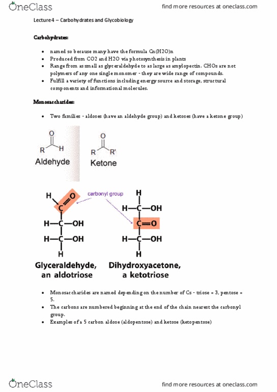 BIOL213 Lecture Notes - Lecture 4: Anomer, Glycobiology, Ketose thumbnail