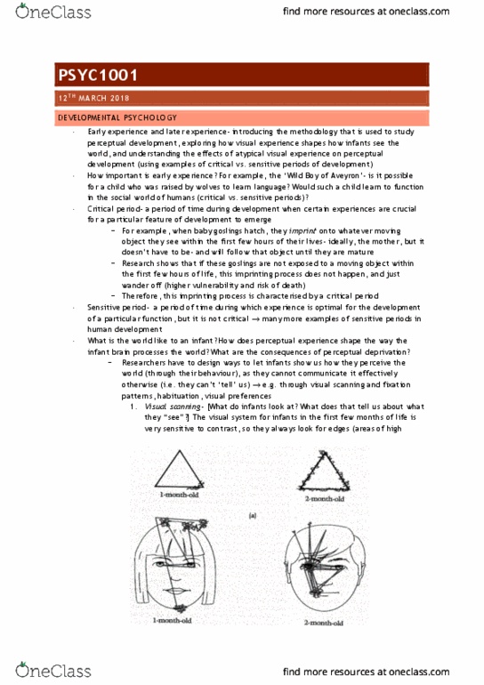 BABS1201 Lecture Notes - Lecture 6: Critical Period, Habituation, Monocular Deprivation thumbnail