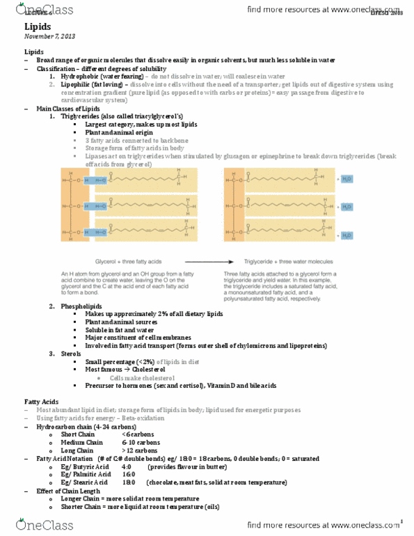 LIFESCI 2N03 Lecture : Nov 11 Class Notes (+Nov 7) - Lipids - LIFESCI 2N03 thumbnail