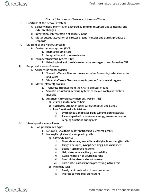 KAAP309 Lecture Notes - Lecture 11: Central Nervous System, Afferent Nerve Fiber, Vascular Permeability thumbnail