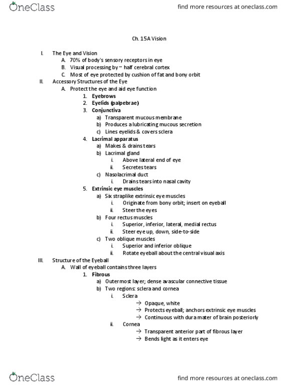 KAAP309 Lecture Notes - Lecture 15: Nasolacrimal Duct, Lacrimal Apparatus, Medial Rectus Muscle thumbnail