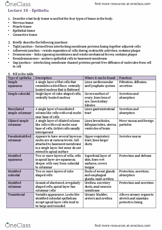 HUBS1403 Lecture Notes - Lecture 10: Urinary Bladder, Tight Junction, Goblet Cell thumbnail