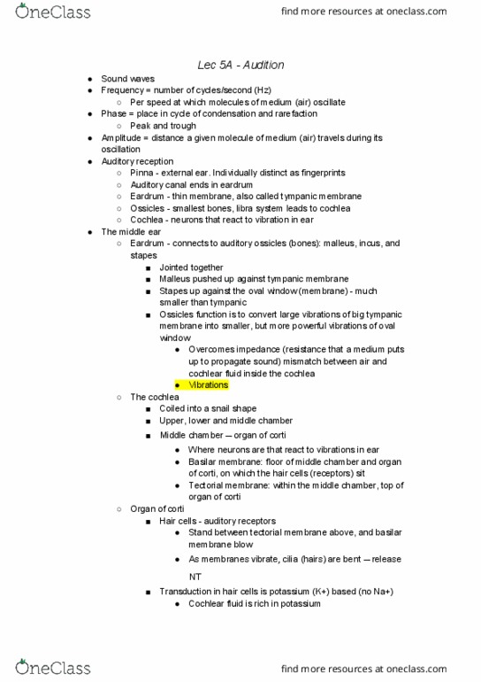 COGS 17 Lecture Notes - Lecture 8: Ossicles, Tectorial Membrane, Basilar Membrane thumbnail