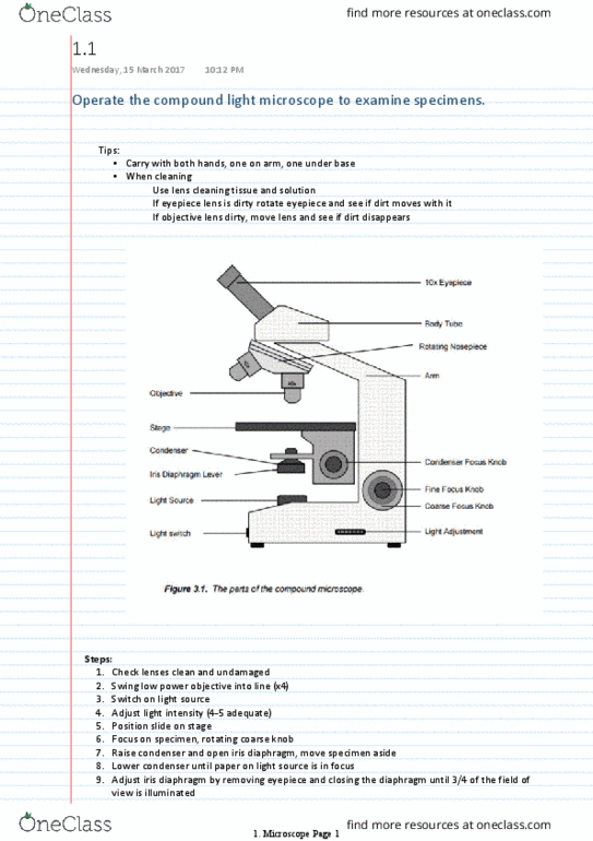 BIOL1003 Lecture Notes - Lecture 1: Microscope, Eyepiece, Rat thumbnail