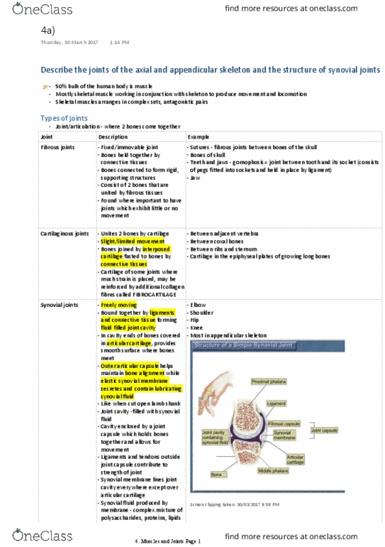 BIOL1003 Lecture Notes - Lecture 4: Hyaline Cartilage, Synovial Joint, Synovial Fluid thumbnail
