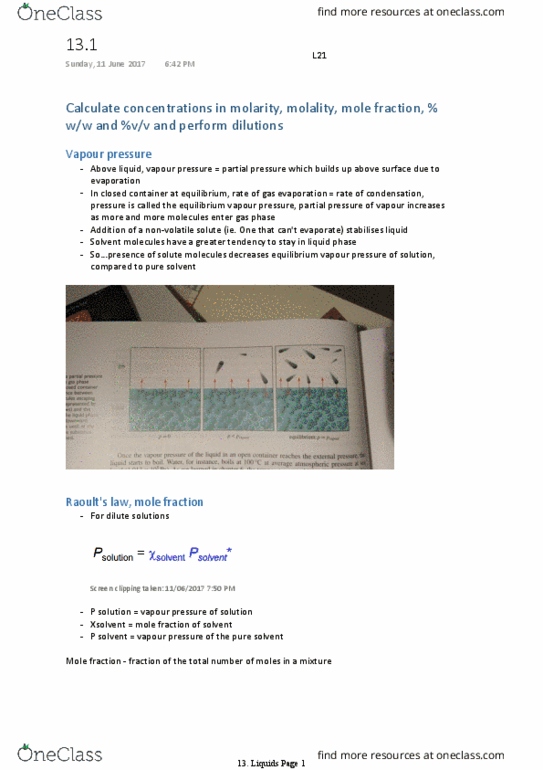 CHEM1101 Lecture Notes - Lecture 13: Mole Fraction, Vapor Pressure, Partial Pressure thumbnail