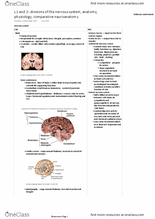 PSYC1002 Lecture Notes - Lecture 7: Enteric Nervous System, Basal Ganglia, Limbic System thumbnail