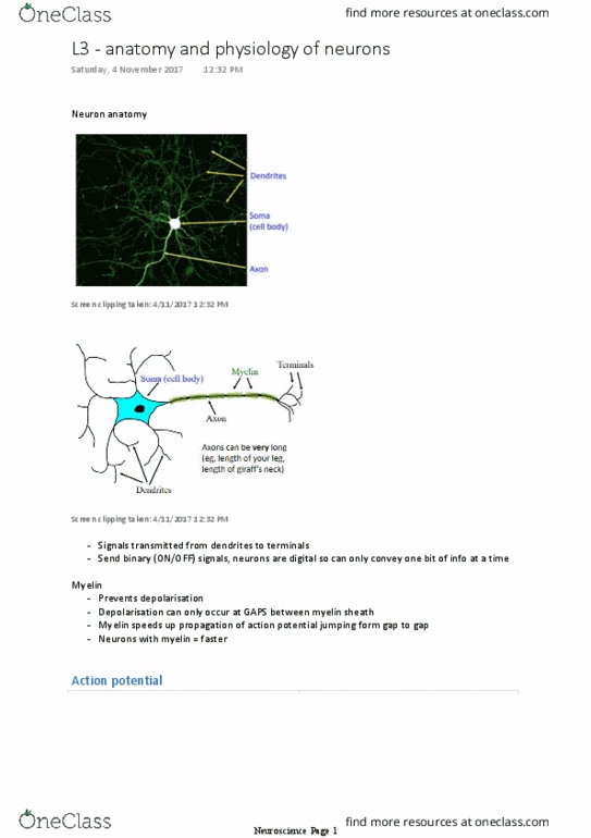 PSYC1002 Lecture Notes - Lecture 8: Lipid Bilayer, Myelin, Diazepam thumbnail
