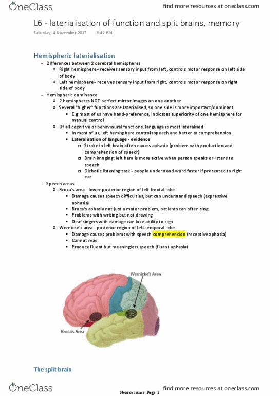 PSYC1002 Lecture Notes - Lecture 11: Expressive Aphasia, Frontal Lobe, Thalamus thumbnail