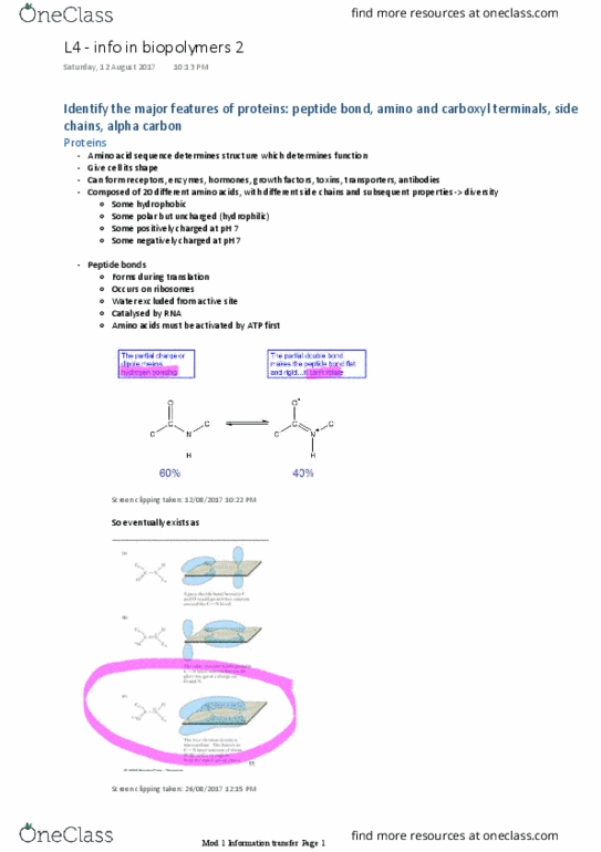 BIOL1007 Lecture Notes - Lecture 4: Alpha And Beta Carbon, Polymerization, Information Transfer thumbnail