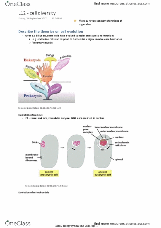 BIOL1007 Lecture Notes - Lecture 12: Cytoskeleton, Prokaryote, Lipid Bilayer thumbnail