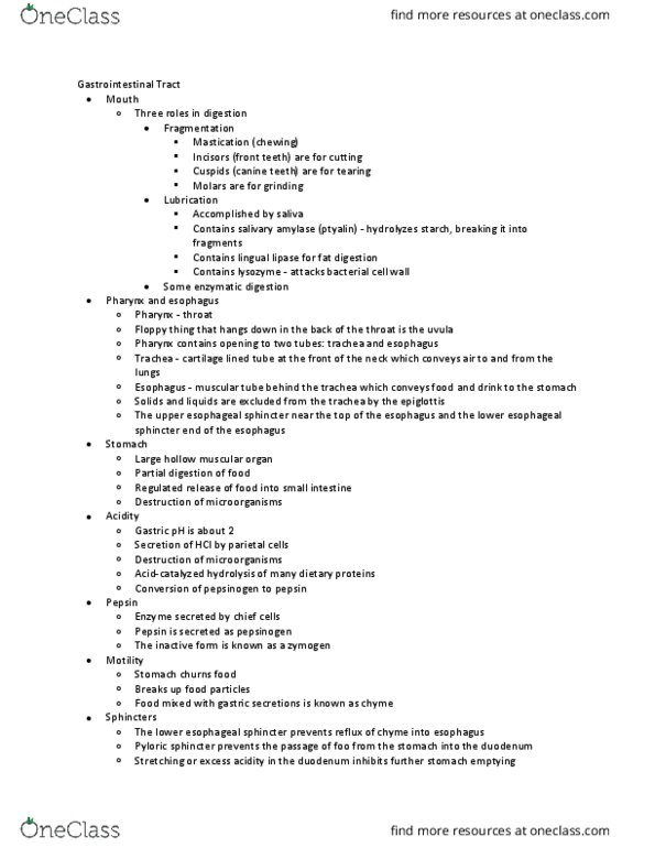 PY 105 Chapter Notes - Chapter 12: Esophagus, Pylorus, Canine Tooth thumbnail