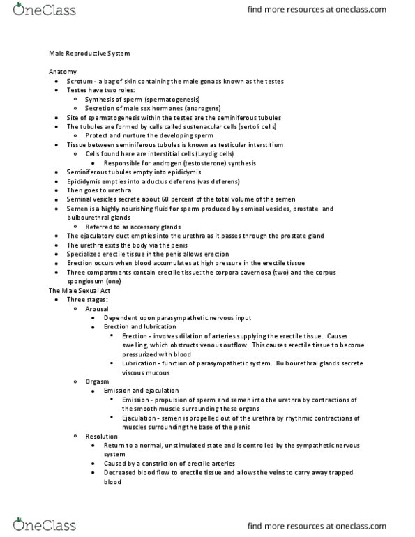 PY 105 Chapter Notes - Chapter 14: Seminiferous Tubule, Vas Deferens, Erectile Tissue thumbnail