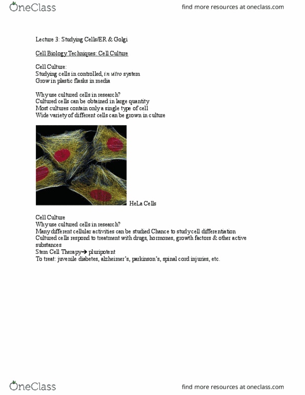 BIOB10H3 Lecture Notes - Lecture 3: Stem-Cell Therapy, Embryonic Stem Cell, Knockout Mouse thumbnail