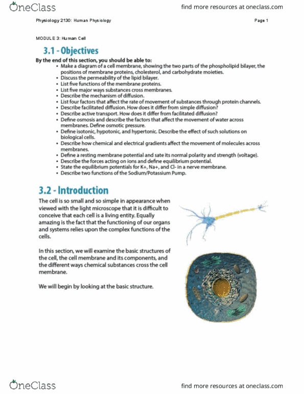 Physiology 2130 Lecture Notes - Lecture 3: Endoplasmic Reticulum, Secretion, Golgi Apparatus thumbnail