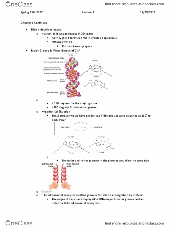 BIOL 2P02 Lecture Notes - Lecture 3: Sticky And Blunt Ends, Restriction Enzyme, Puc19 thumbnail