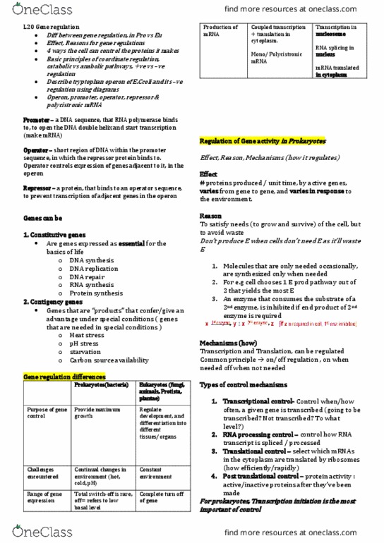 SCIE1106 Lecture Notes - Lecture 20: Rna Splicing, Cistron, Operon thumbnail