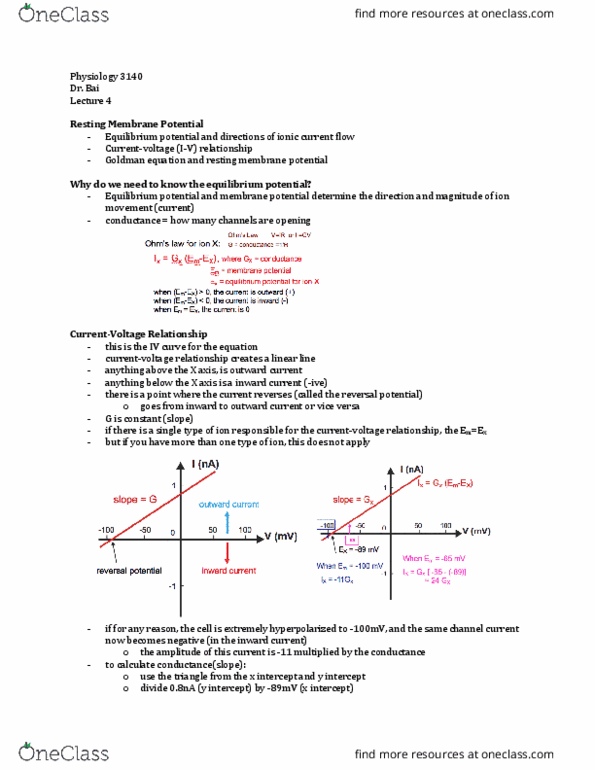 Physiology 3140A Lecture Notes - Lecture 4: Resting Potential, Goldman Equation, Reversal Potential thumbnail