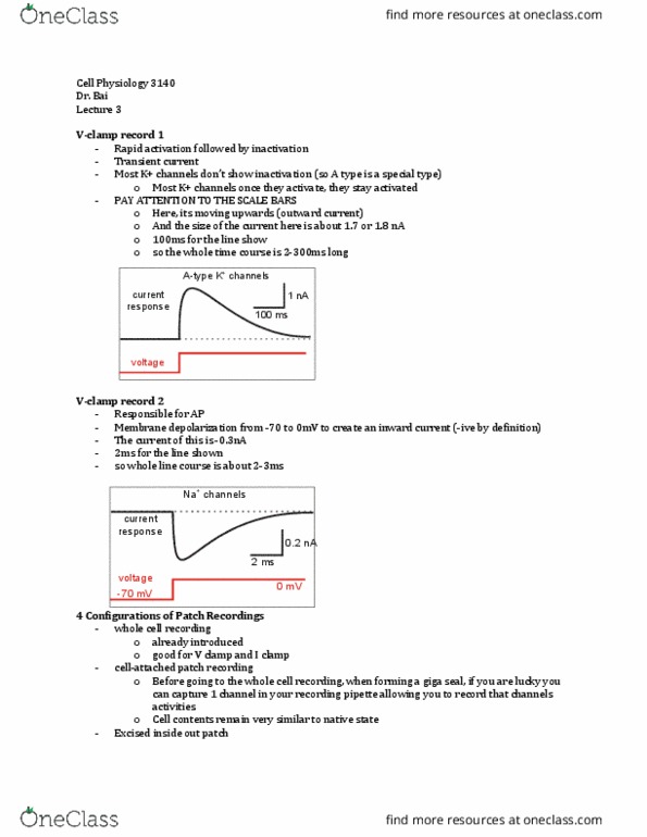 Physiology 3140A Lecture Notes - Lecture 3: Patch Clamp, Pipette, Membrane Potential thumbnail