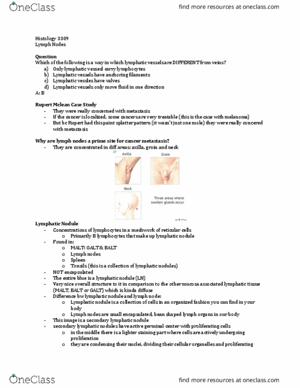 Anatomy and Cell Biology 3309 Lecture Notes - Lecture 11: Lymph Node, Mantle Zone, B Cell thumbnail