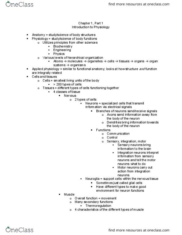 APK 2105C Lecture Notes - Lecture 1: Engineering Physics, Neuroglia, Thermoregulation thumbnail