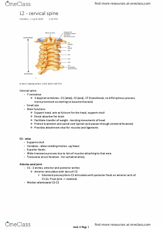 PS 1001:03 Lecture Notes - Lecture 12: Cervical Vertebrae, Uncinate Processes Of Ribs, Atlanto-Axial Joint thumbnail