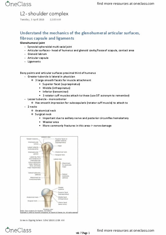 PS 1001:03 Lecture 15: shoulder complex thumbnail