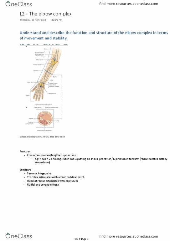 PS 1001:03 Lecture Notes - Lecture 18: Trochlear Notch, Hinge Joint, Ulna thumbnail