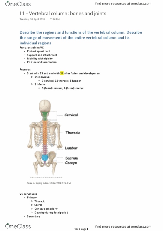 BM 1041:03 Lecture Notes - Lecture 16: Cervical Vertebrae, Thoracic Vertebrae, Kyphosis thumbnail