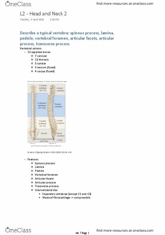 BM 1041:03 Lecture Notes - Lecture 14: Cervical Vertebrae, Intervertebral Disc, Vertebral Column thumbnail