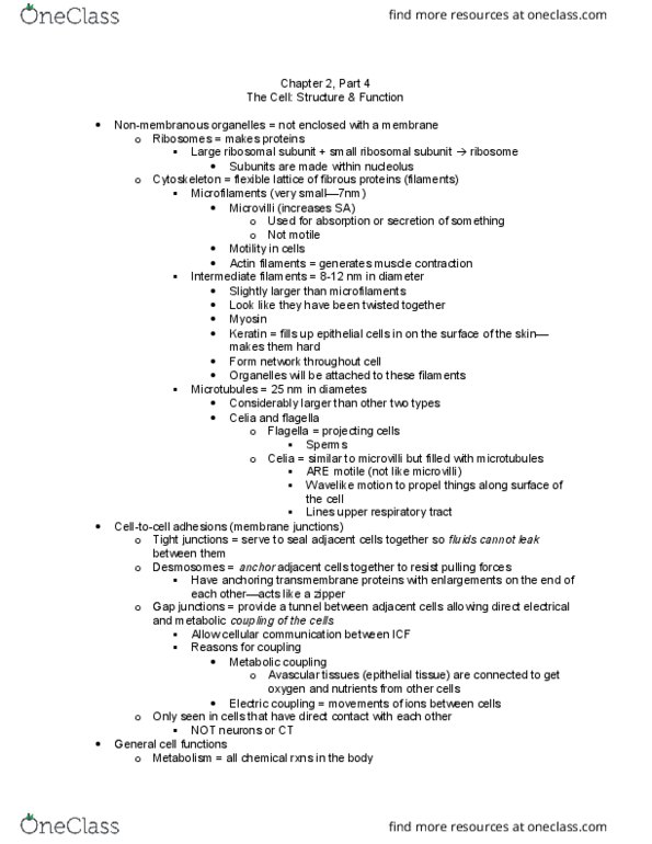 APK 2105C Lecture Notes - Lecture 6: Respiratory Tract, Epithelium, Microvillus thumbnail